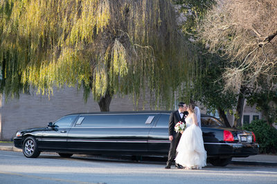 Limousine Kiss in front of the Palace of Fine Arts in San Francisco