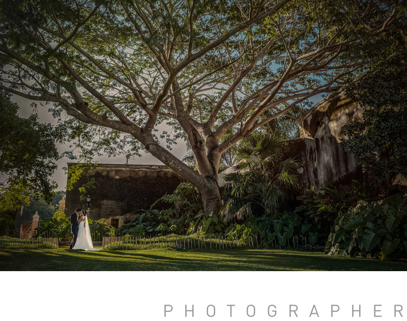 bride and groom outdoors portrait