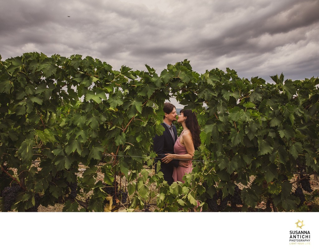 she said yes engagement surprise session in Chianti