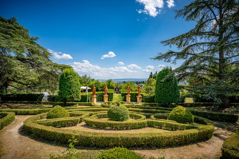 Book Free Consultation