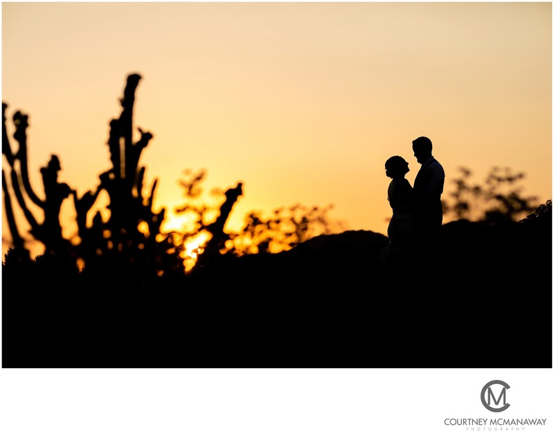 Silhouette Image of Bride and Groom at Temecula Estate Wedding