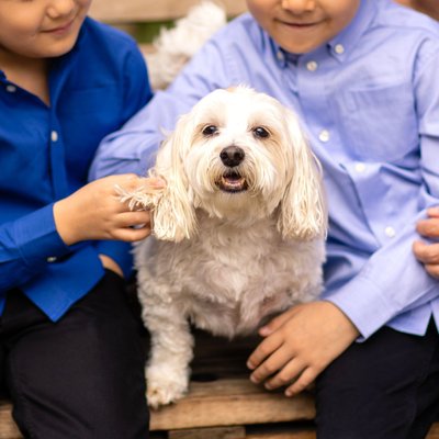 Tips for Bringing Your Pet to a Family Session