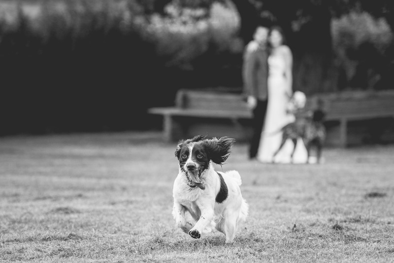 Bewdley Wedding Photography