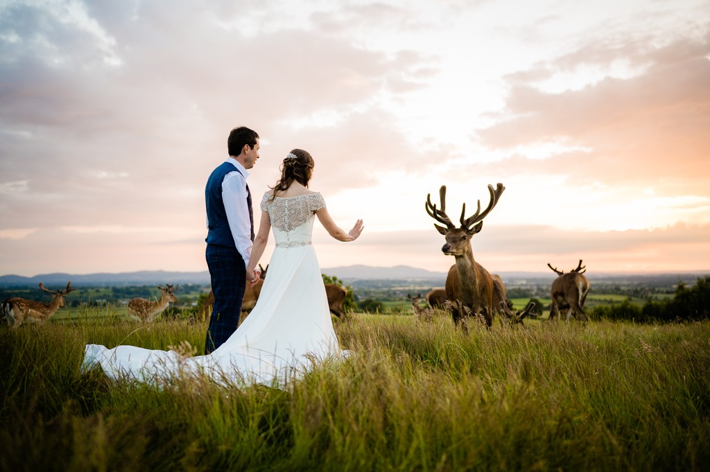 Deer Park Wedding