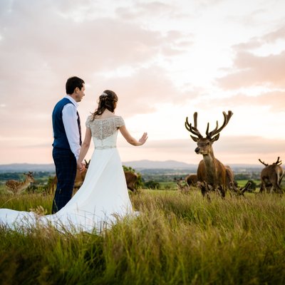 Deer Park Wedding