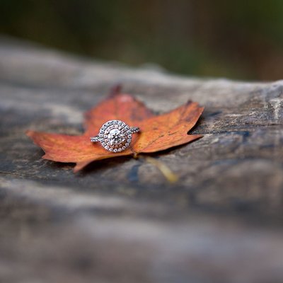 Engagement Ring at Albion Falls
