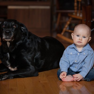 Baby and Dog Portrait in Georgetown