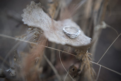 Fall-Ring-Detail-Muncie-Wedding-Photographer