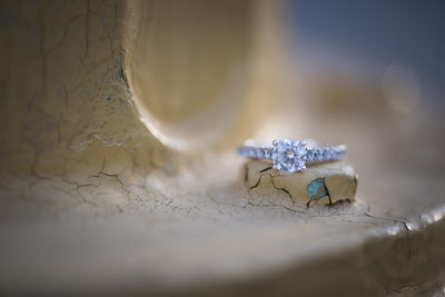 Fort Wayne Engagement Wedding Photographer ring