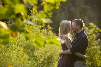 Morrows Meadow Engagement
