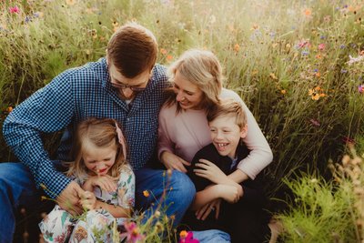 Wildflower field family mini sessions near Hartford, WI 