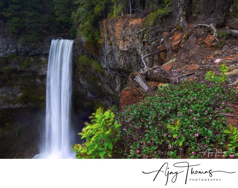 Brandywine falls