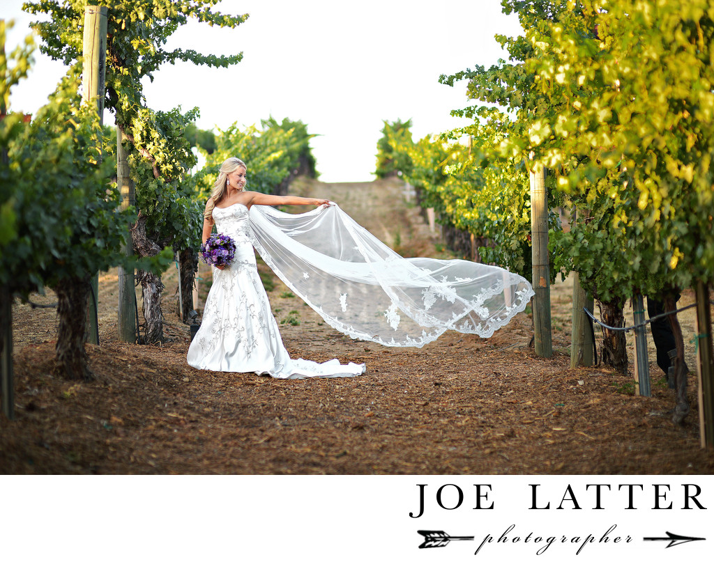 Beautiful Wedding Bridal Portrait at Wilson Creek Winery in Temecula, California.