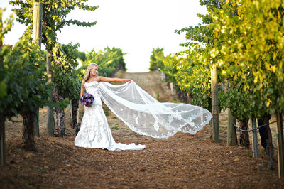 Beautiful Wedding Bridal Portrait at Wilson Creek Winery in Temecula, California.