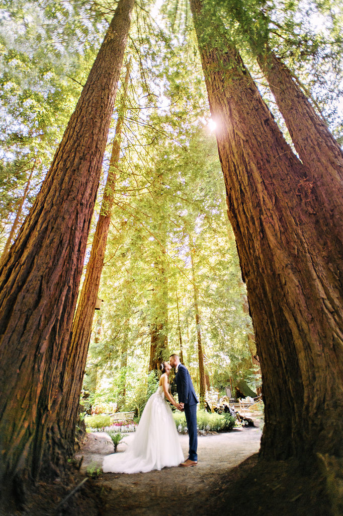 South Coast Winery Wedding Photos in Temecula Fine Art Photography