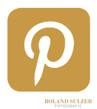 Pinterest Roland Sulzer