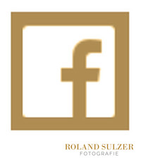 Facebook Roland Sulzer