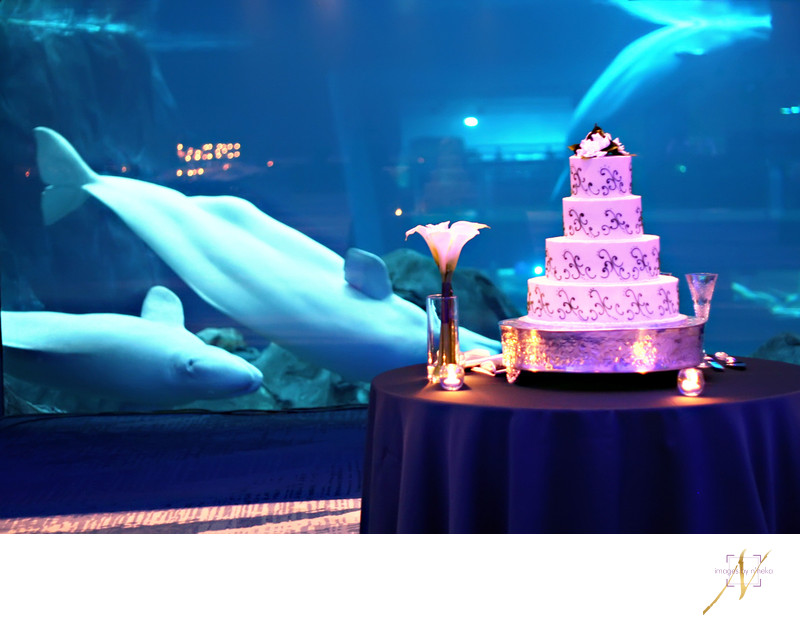 Georgia Aquarium Wedding Cake