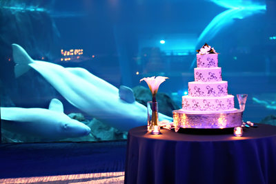 Georgia Aquarium Wedding Cake