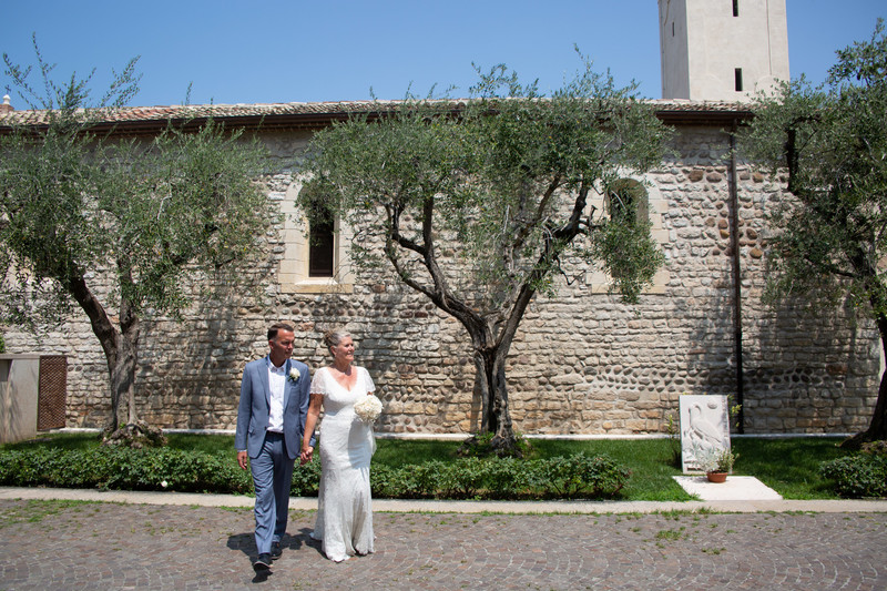 Olive groves by Lazise Church, Italy