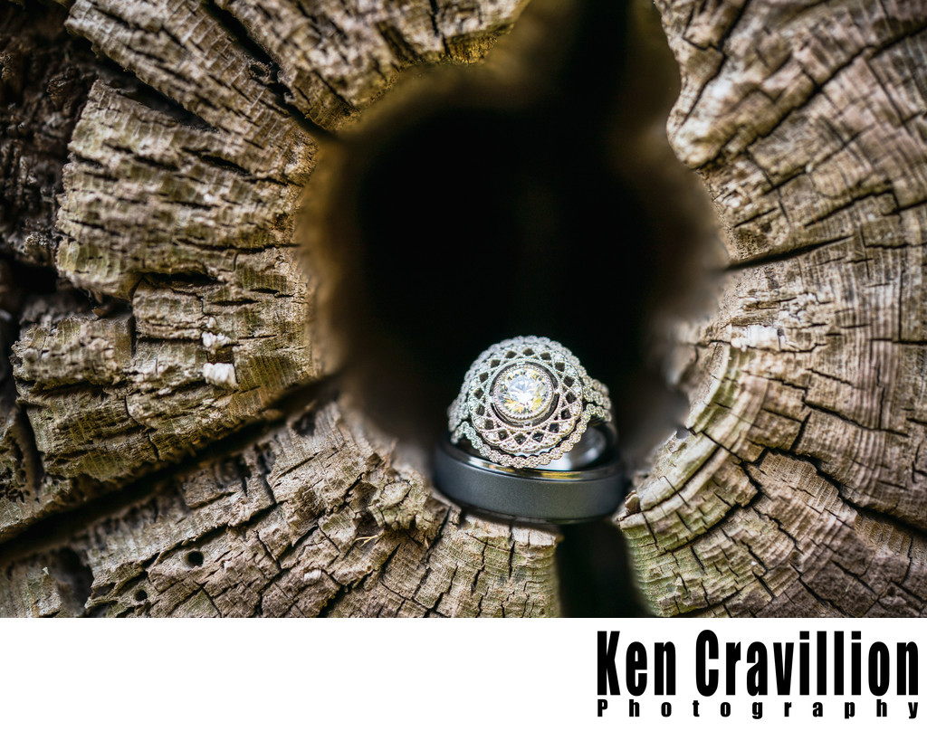 Wedding Rings in a Tree Photo at Bubolz Preserve
