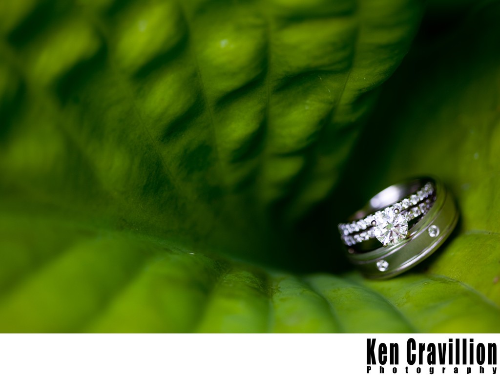 West Bend Wedding Ring Photo