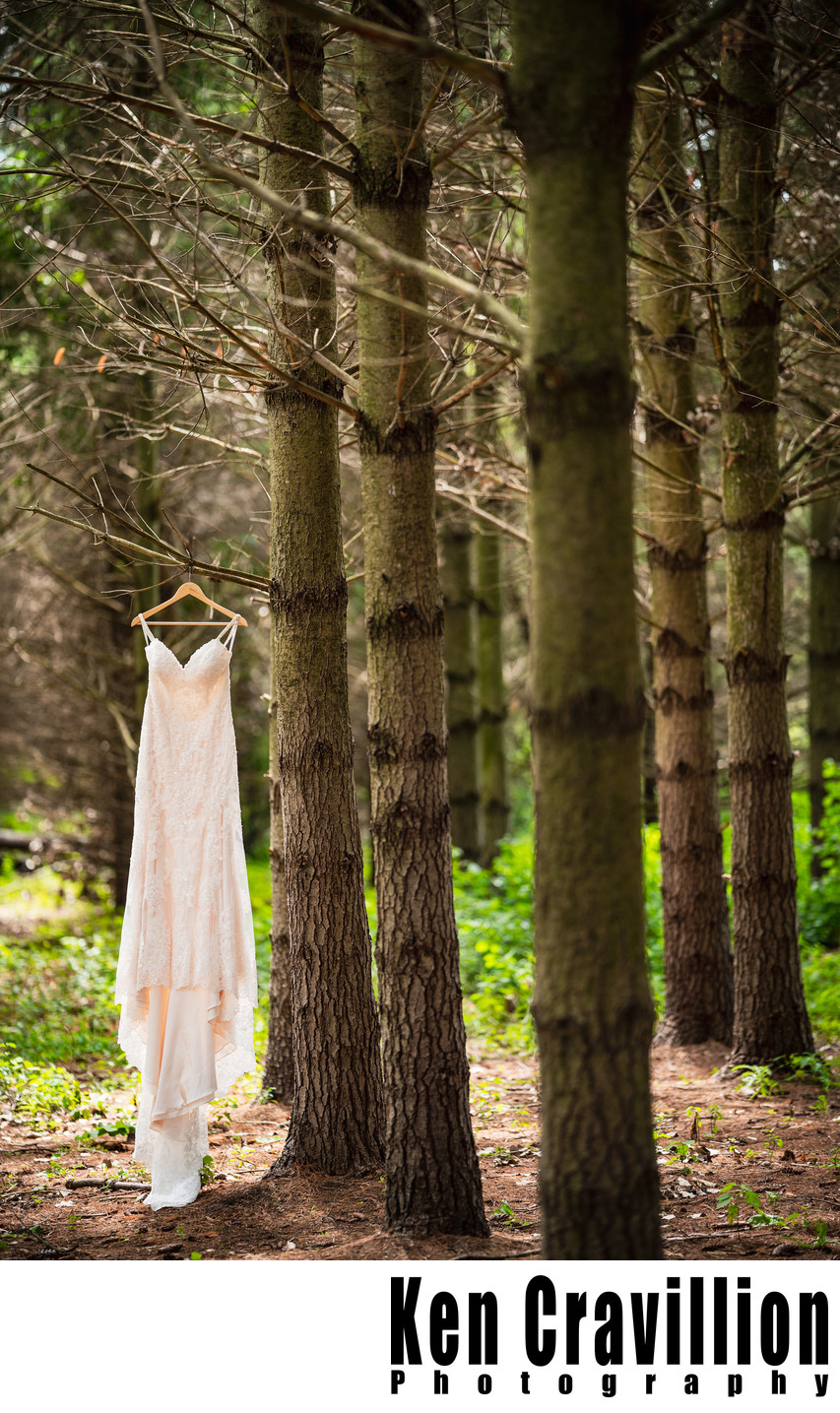 Bubolz Nature Preserve Wedding Dress Photo
