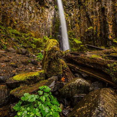 Lost Creek Falls Columbia River Gorge Oregon Photo
