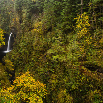Metlako Falls Columbia River Gorge Oregon Photo