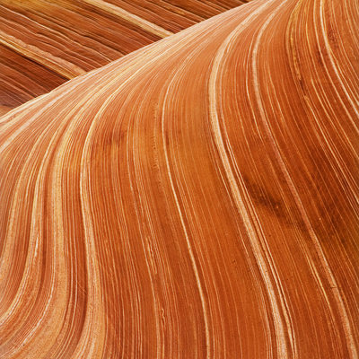 The Wave Coyote Buttes North Arizona Photo