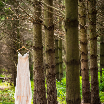 Bubolz Nature Preserve Wedding Dress Photo