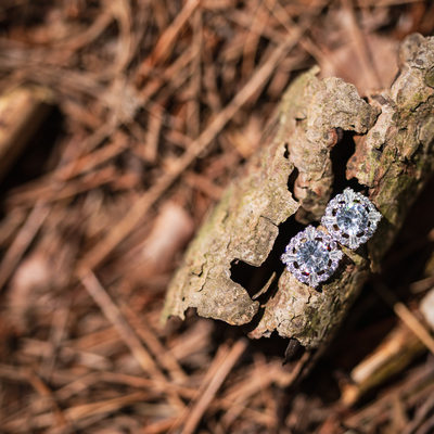 Bubolz Nature Preserve Wedding Earrings Photo