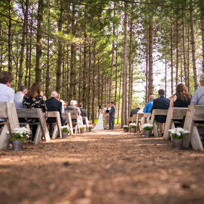 Appleton Wisconsin Forest Wedding Photo