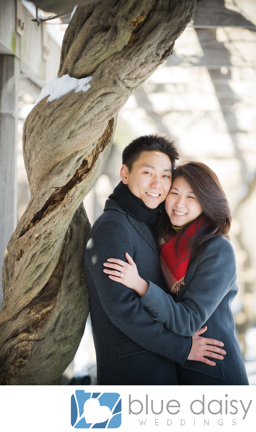 Engaged couple hugging by snow covered tree in park