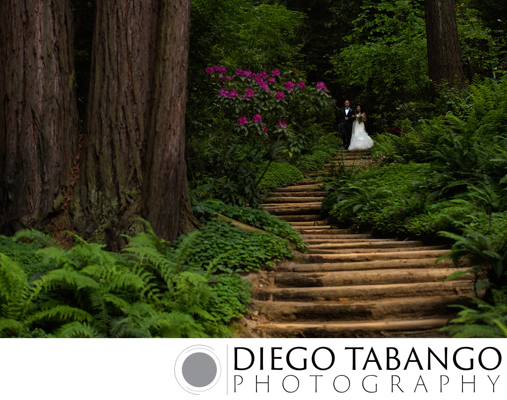 Nestldown Wedding Ceremony Photographer in Redwoods