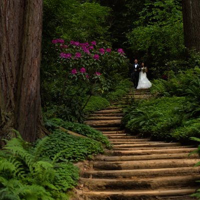 Nestldown Wedding Ceremony Photographer in Redwoods