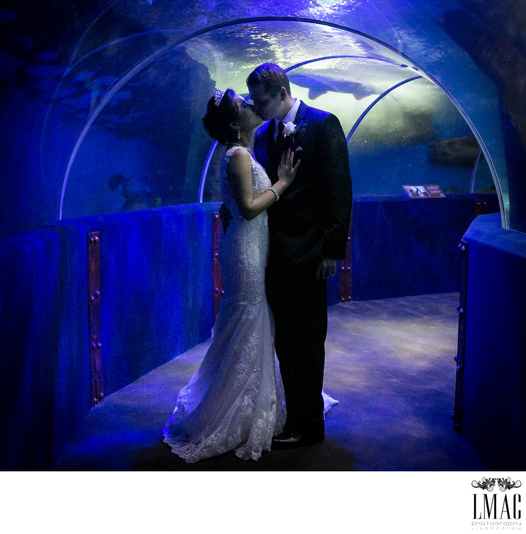 Beautiful Wedding At the Cleveland Aquarium
