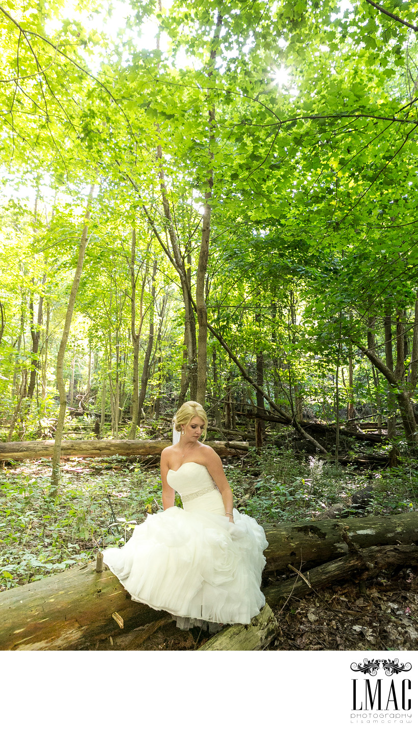 Beautiful Wedding Photography in Akron, Ohio