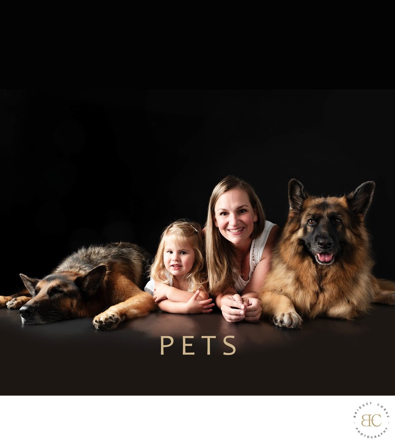 Pet Photography Gallery