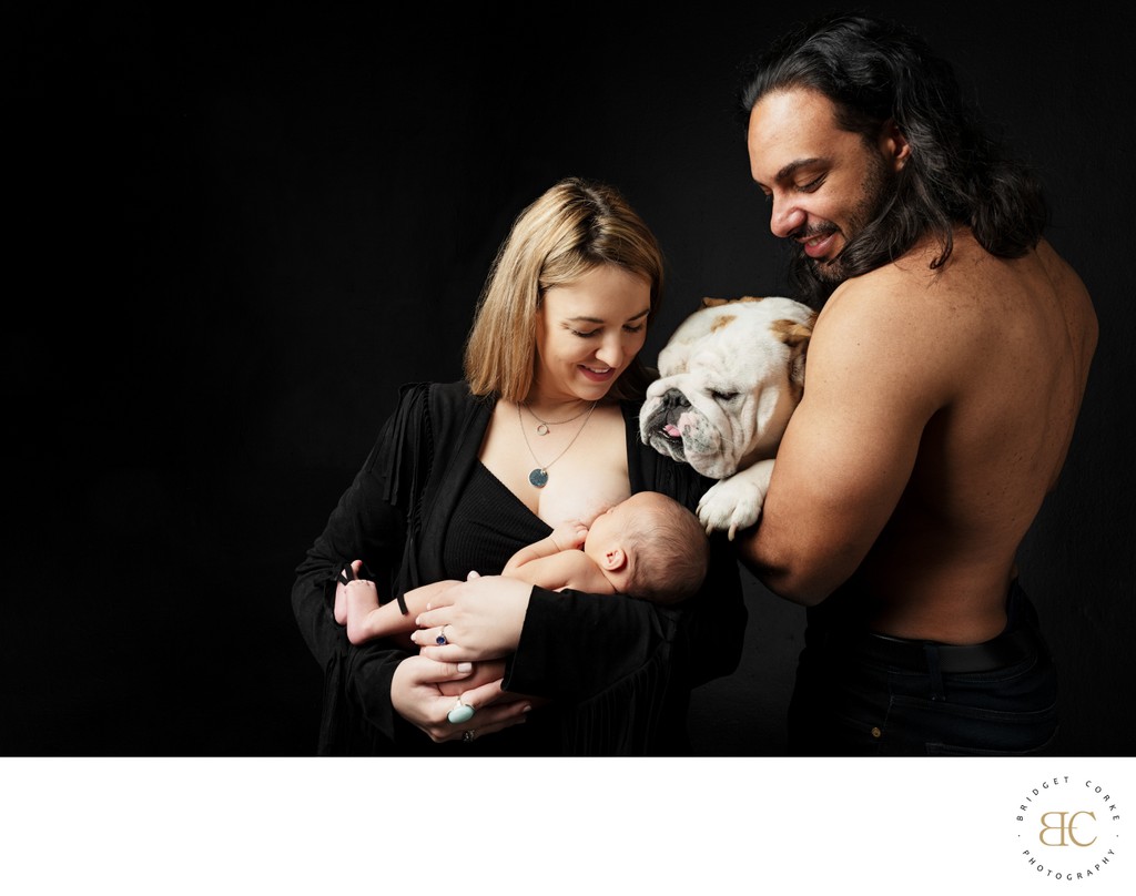 Bulldog Newborn Baby