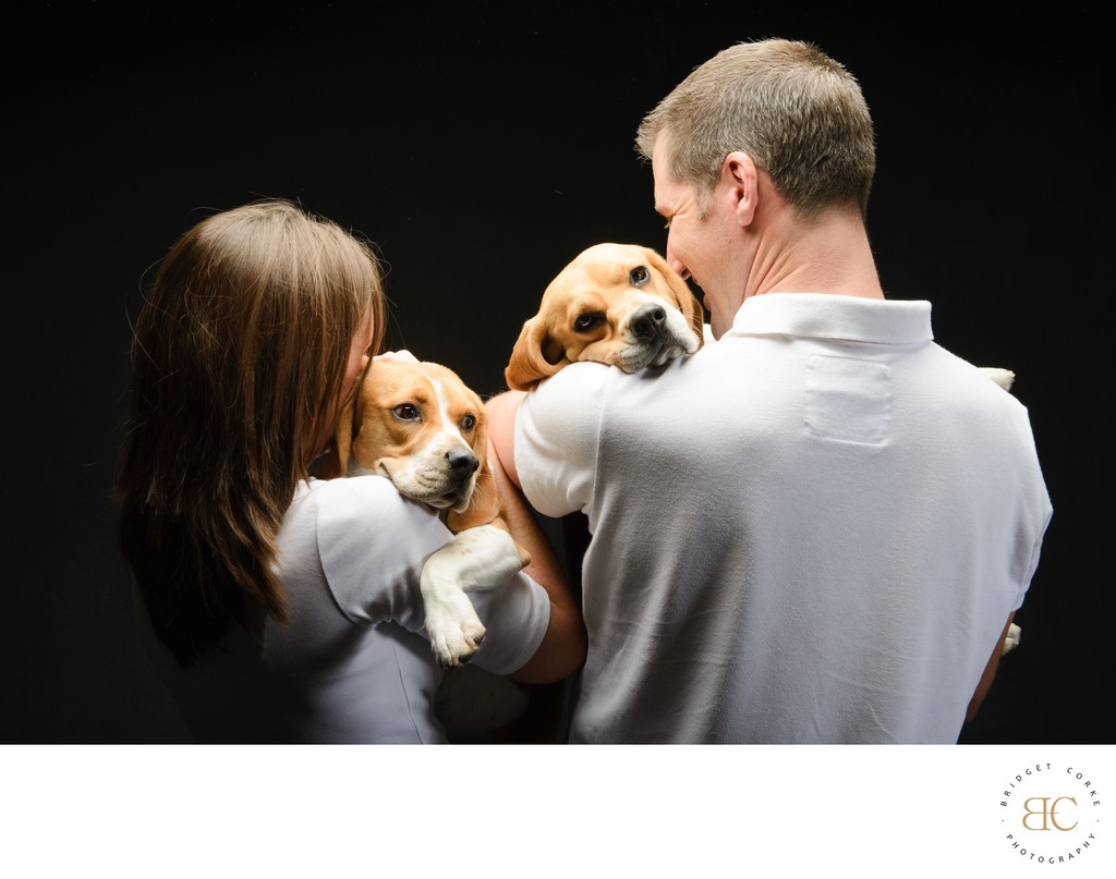 Beagle Dogs With Man & Woman