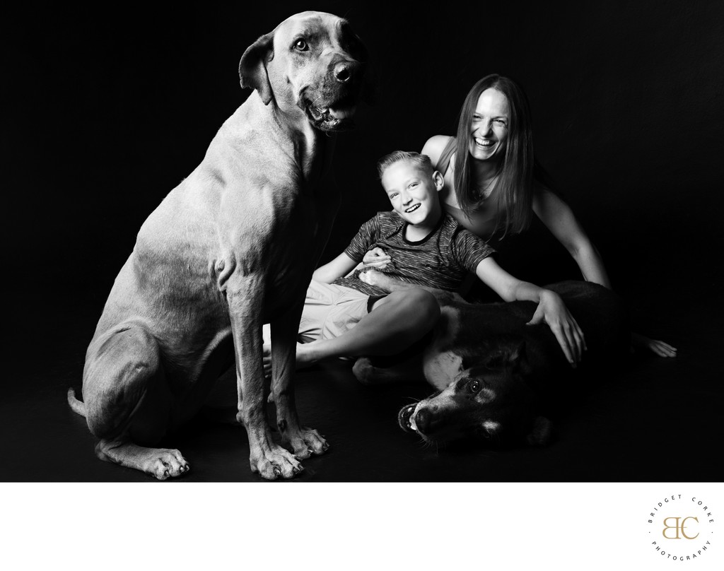 Rhodesian Ridgeback With Family Shoot