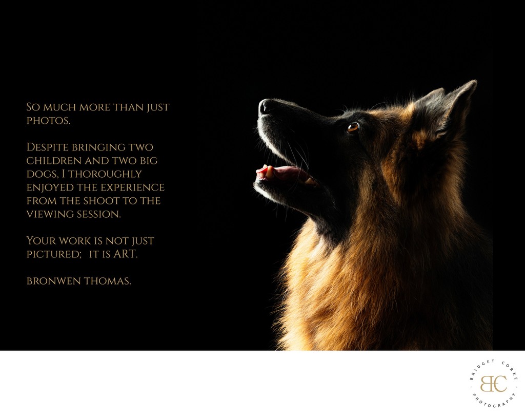 Artistic Dog Photographer Client Review