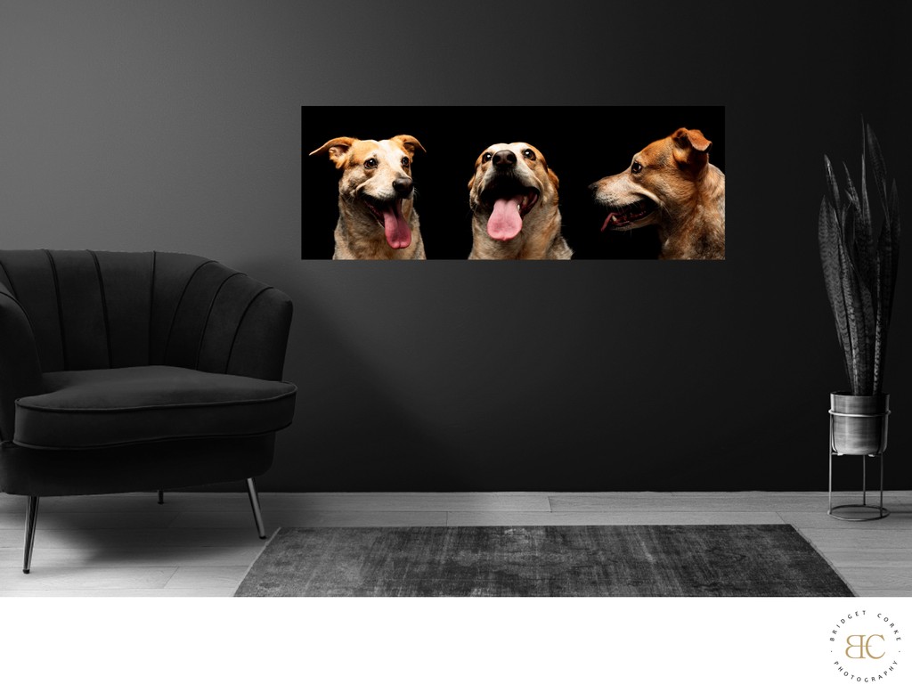 Dog Portrait Framed Wall Art