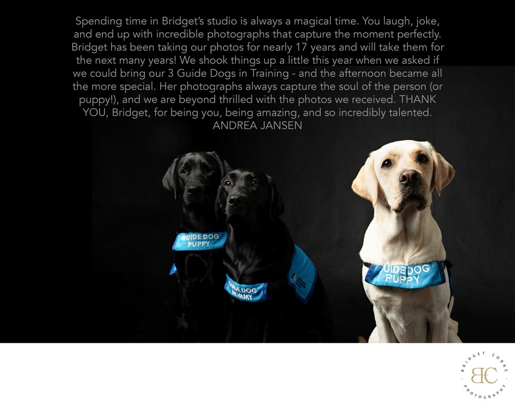 Incredible Dog Photographer Client Review