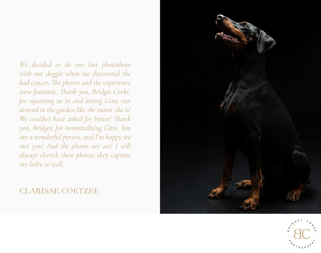 Cherished Dog Photo Client Review