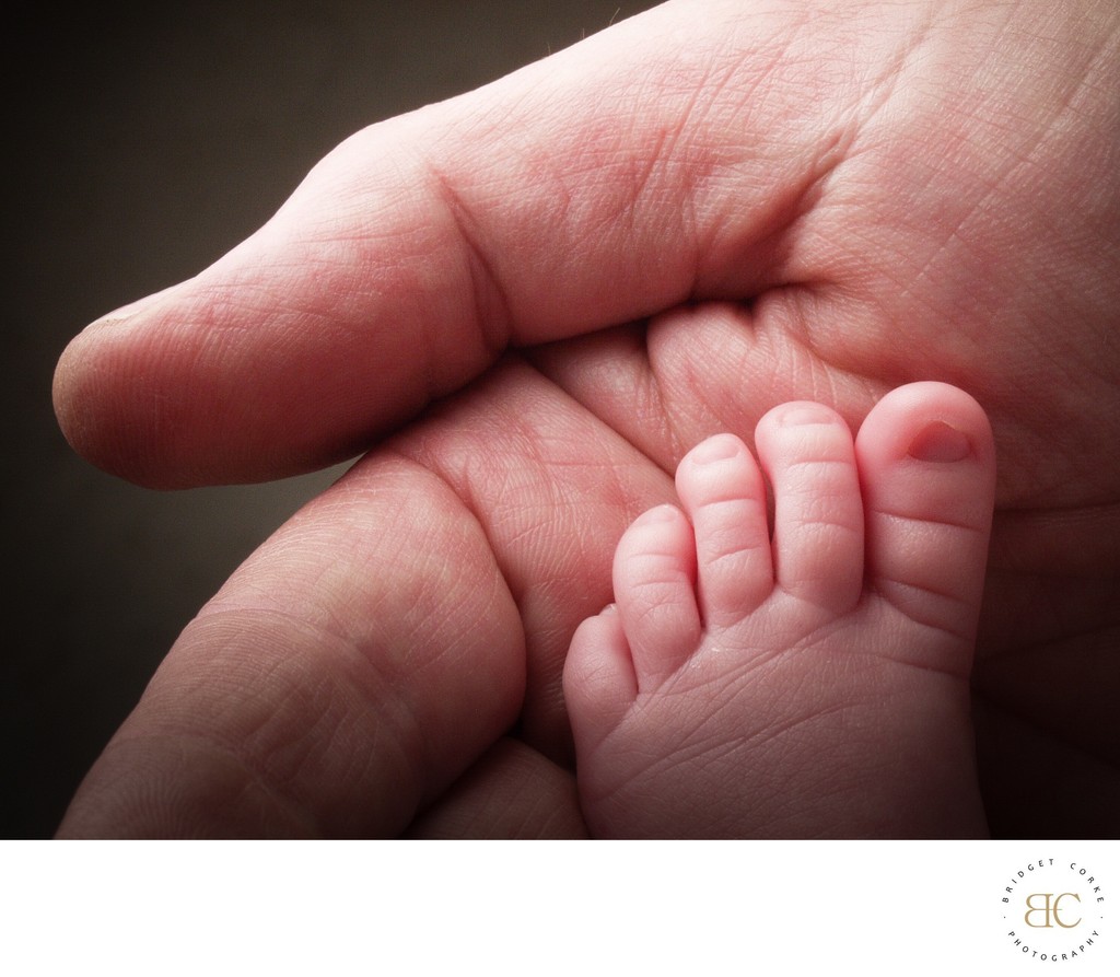 Tiny Toes: Newborn Foot in Parent's Hand