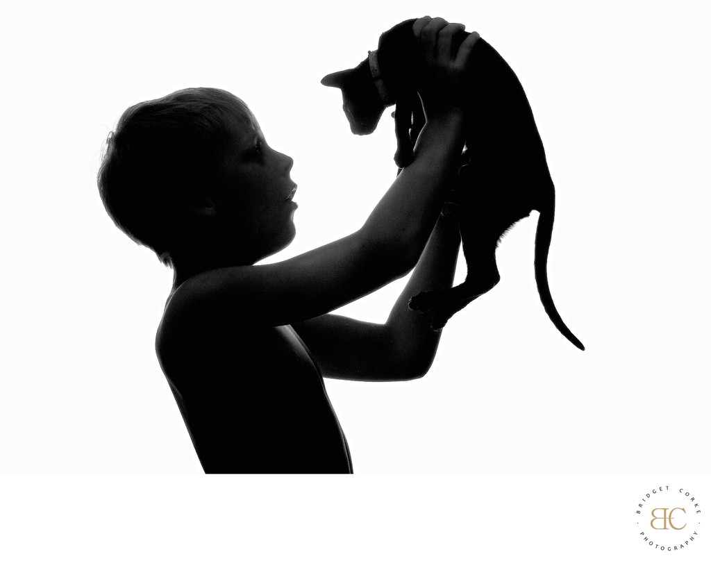 Silhouette of a Child and Kitten Showing Connection