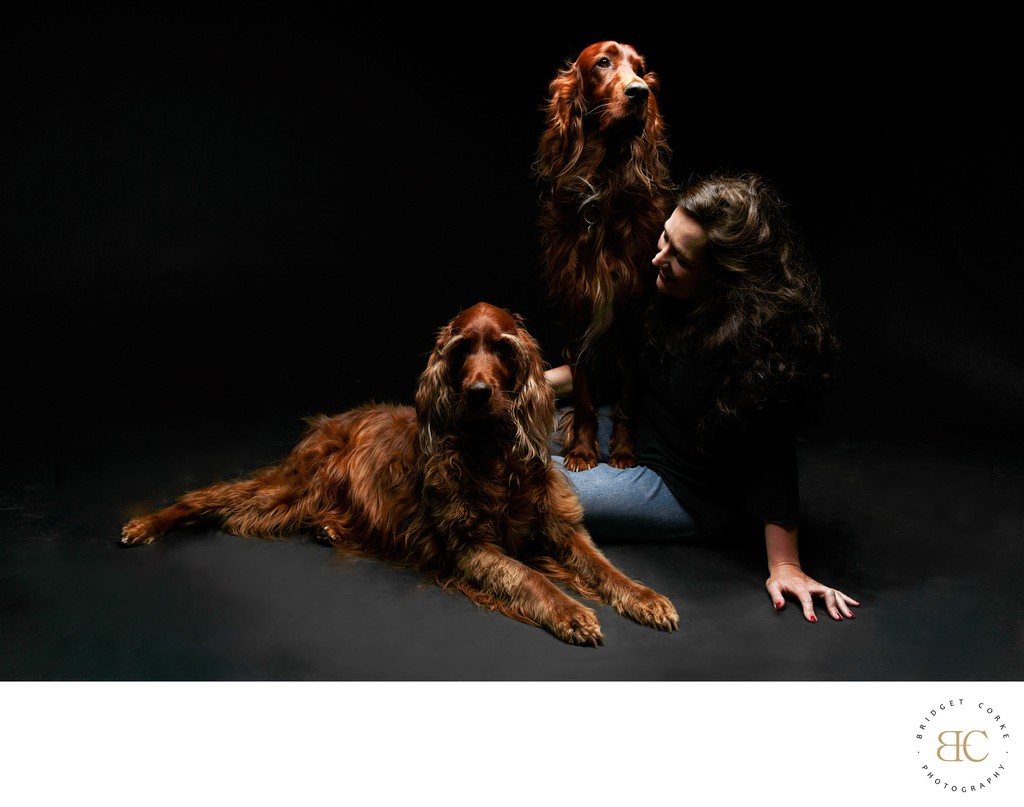 Elegant Portrait of Two Irish Setters