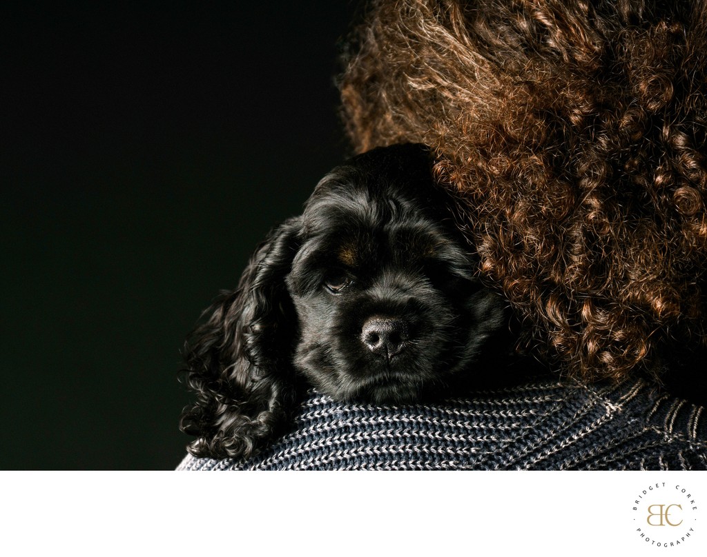 Tender Moment with a Black Puppy